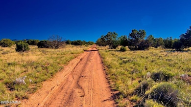 2807 S Goldenrod Dr, Williams, AZ 86046 - photo 5