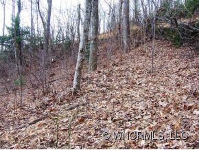 Building site lot 11