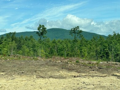 00 Nutter Rd, Effingham, NH 03882 - photo 2