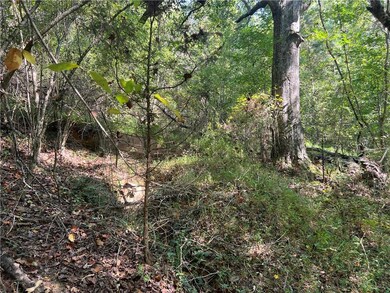 124 S Kelley St, Tallapoosa, GA 30176 - photo 7