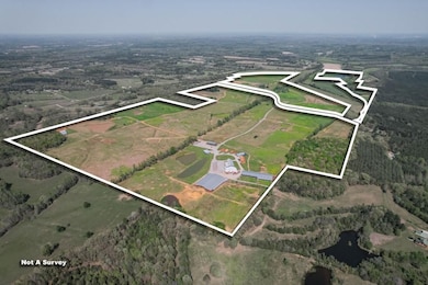 833 N Prather Rd, Michie, TN 38357 - photo 7