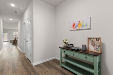 cypressplantation11