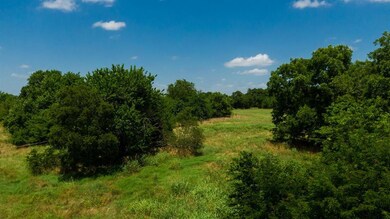 TBD County Rd 4040, Ector, TX 75439 - photo 4
