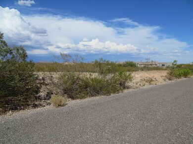 21320 W Vista Royale Dr unit 3, Wickenburg, AZ 85390 - photo 7