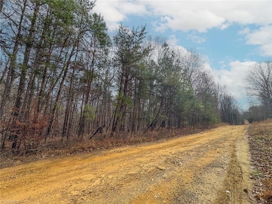 6124 Wild Horse Canyon Rd, Snow Camp, NC 27349 - photo 2
