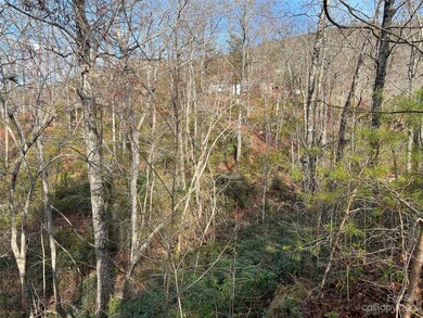 00 Dobsons Knob Loop Rd unit 32, Marion, NC 28752 - photo 2