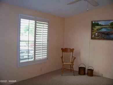 8770 Bruce Dr, Show Low, AZ 85901 - photo 6