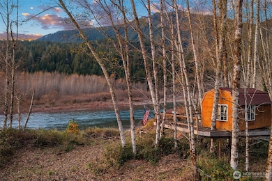 250 Cedar Grove Rd, Randle, WA 98377 - photo 3