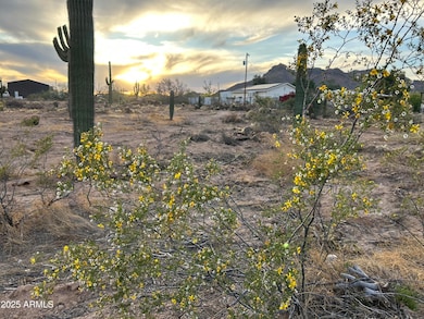 0 N Delaware Dr unit 6956478, Apache Junction, AZ 85120 - photo 2