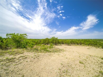 1027 & 2005 Oak Bend Lane Ct, Weatherford, TX 76088 - photo 4