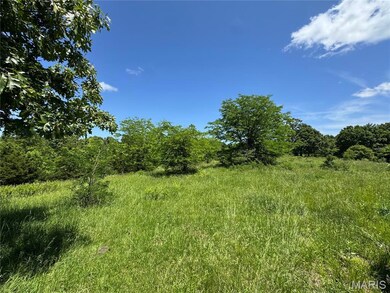 View of local wilderness