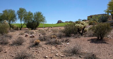 From the back of the lot to the south