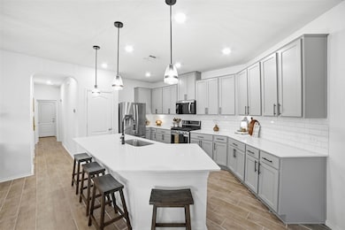 517 Lady Swiss Ln, Hutto, TX 78634 - photo 3