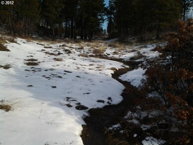 0 Timber unit 68 12326467, Bickleton, WA 99322 - photo 2