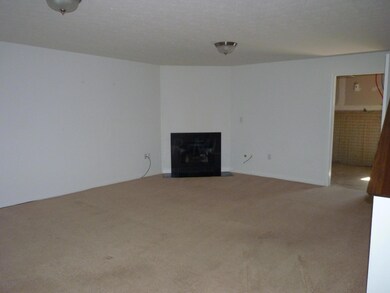 Lower Level Den with gas FP