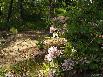 Other - Sample of Flora within subdivision