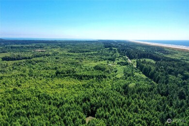 2850 Washington 109, Copalis Beach, WA 98569 - photo 6