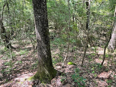 NA Reservoir Rd, Waynesboro, MS 39367 - photo 3