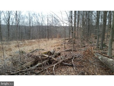 0 Swamp Creek Rd unit PABU503712, Pennsburg, PA 18073 - photo 5