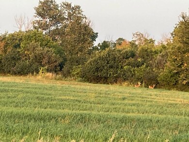 06 Wildlife Galore.jpg