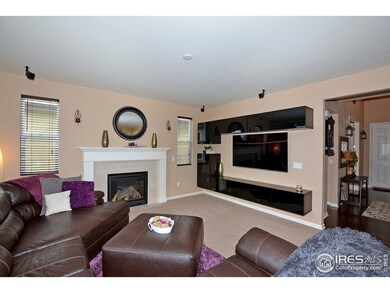 1121 101st Avenue Ct, Greeley, CO 80634 - photo 5