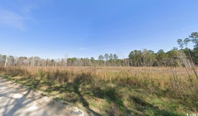 View of local wilderness