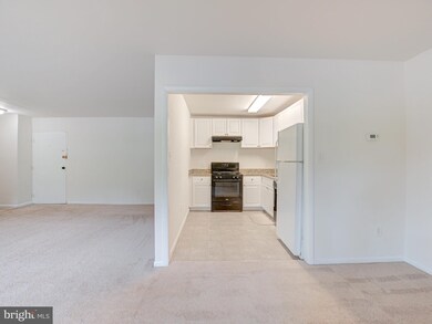 6137 Leesburg Pike unit 210, Falls Church, VA 22041 - photo 7