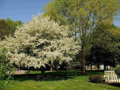 1005 Laural Ln, Ballston Spa, NY 12020 - photo 4