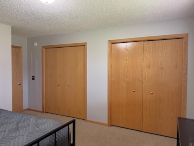 438 Lake Trail, Winsted, MN 55395 - photo 6