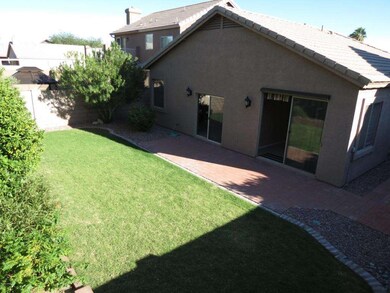 Back yard