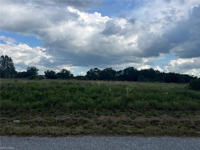 1710 Jackson Ave, Lehigh Acres, FL 33972 - photo 5