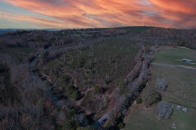 3-web-or-mls-DJI_0773twi