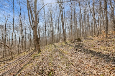 L9.113 Lutheranville Rd, Summit, NY 12175 - photo 4