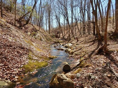 0 Deer Tracks Ln unit 750781, Misc., NC 27022 - photo 2