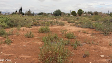 TBD A Ave unit 409-25-003, Douglas, AZ 85607 - photo 4