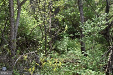 0 Maple Ridge unit MDWA179556, Hancock, MD 21750 - photo 7