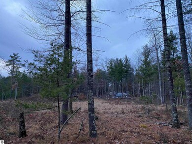 00 S Emma Ave, Pleasant Plains Township, MI 49304 - photo 4