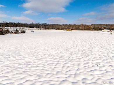 00 Hwy 61 W Outer Rd, Bowling Green, MO 63441 - photo 4