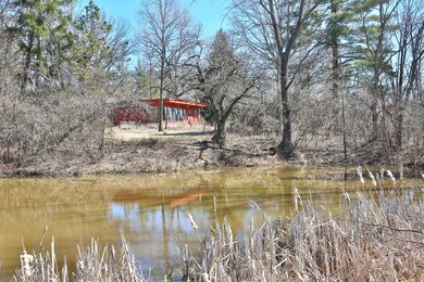 Pond View