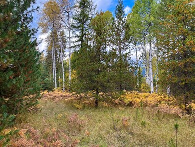 Nhn Klister Ln, Trout Creek, MT 59874 - photo 6