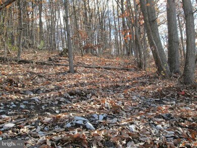 0 Brenwood unit 1000137653, Stanley, VA 22851 - photo 5