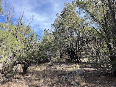 1022 Duffis Bluff Rd, Seligman, AZ 86337 - photo 6