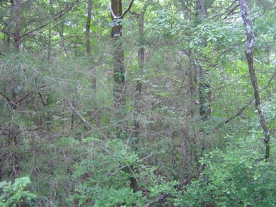 0 Mill Rd, Shelbyville, TN 37160 - photo 7