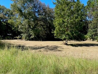 Lots 57,58,59 Floyd Dr NE, Townsend, GA 31331 - photo 2