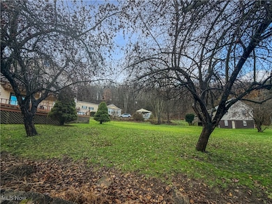 175 Wall St, Weirton, WV 26062 - photo 6