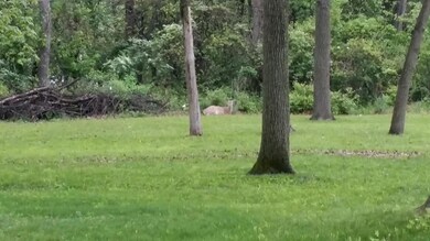 0 Adda Ave unit lot 36, 37, 38, 39., Brandywine, OH 43231 - photo 3