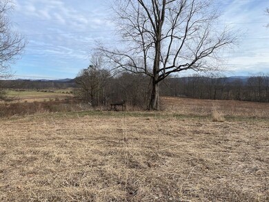 Cr 21 unit lot WP001, Elkins, WV 26241 - photo 6