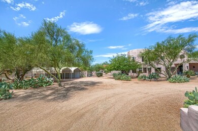 Front Yard 7