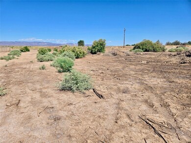 View of undeveloped land featuring rural landscape