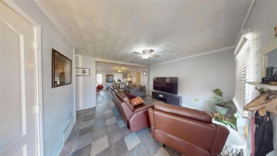 Living room with a ceiling fan, crown molding, and